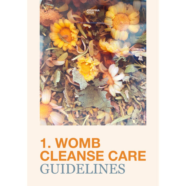 Womb cleanse care guidelines