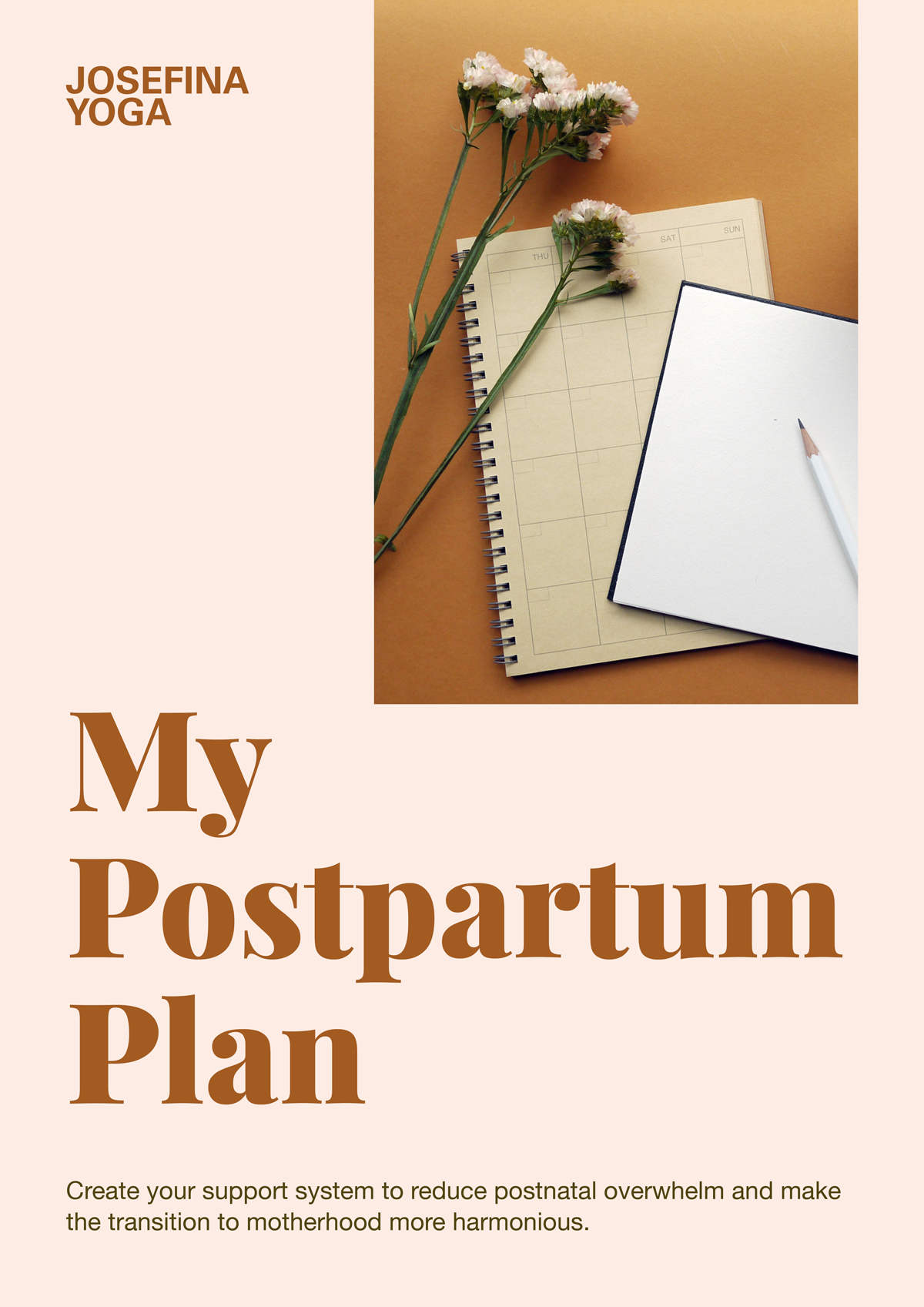 Postpartum Plan Lead Magnet